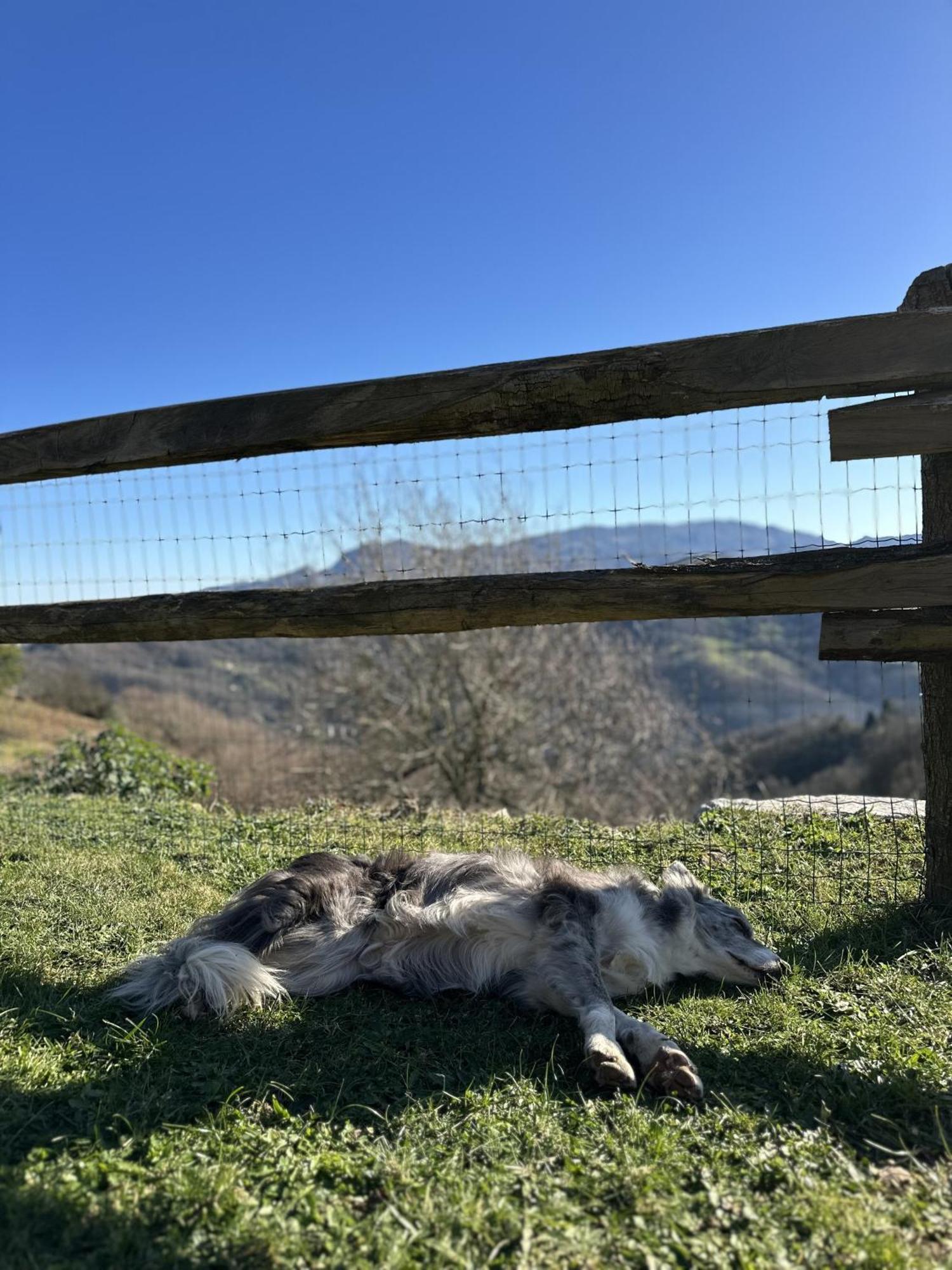 Willa Almastur Rural Siero Zewnętrze zdjęcie